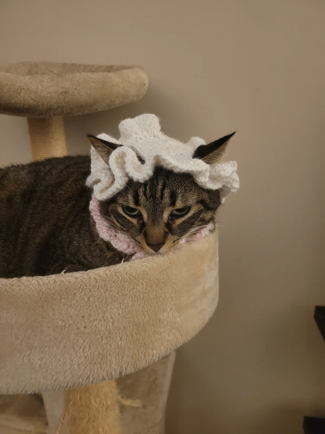Crochet cat hat for medium sized cat heads - photo 2