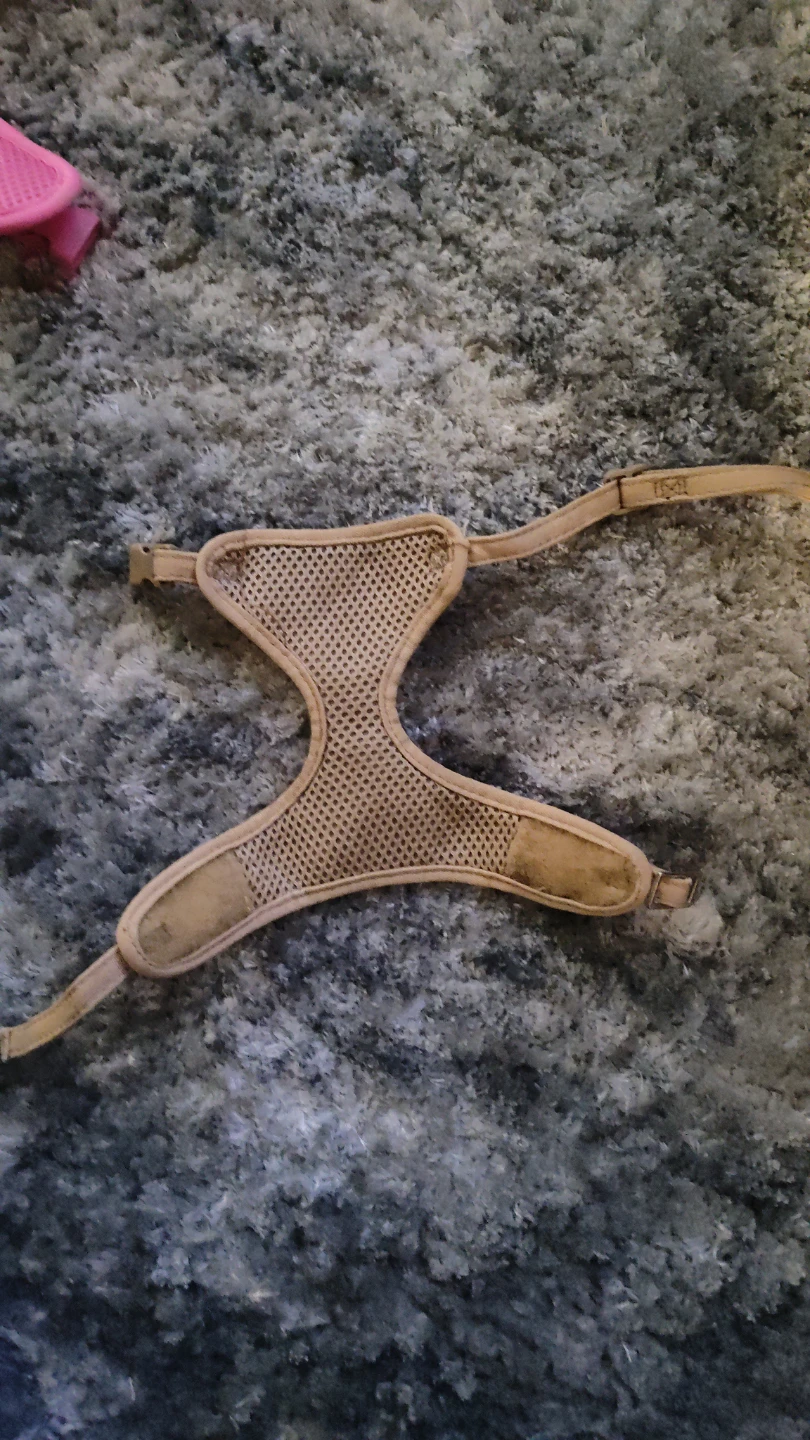 Pet Harness - photo 3