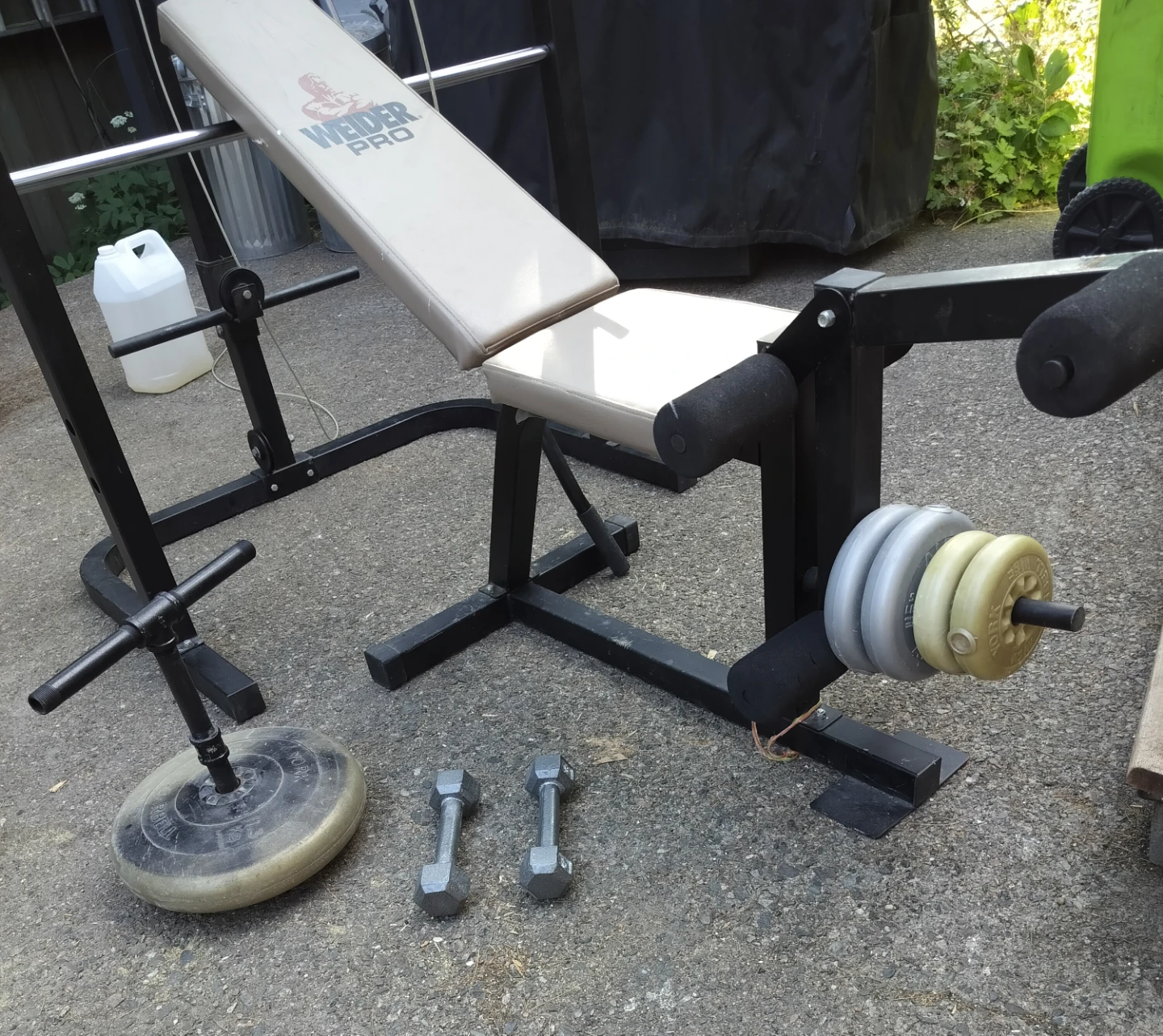 Weider Pro Weight Bench with Rack and Weights