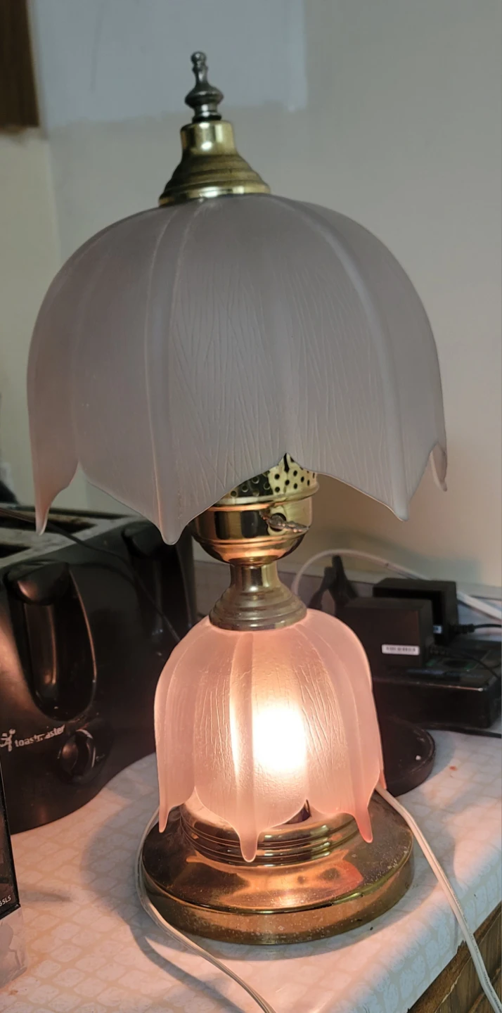 Vintage Frosted Glass Table Lamp - photo 4