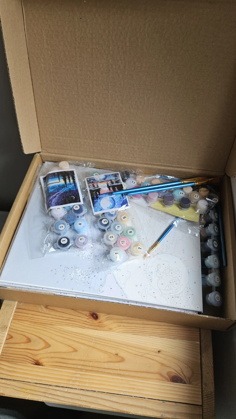 Paint By Numbers Kit