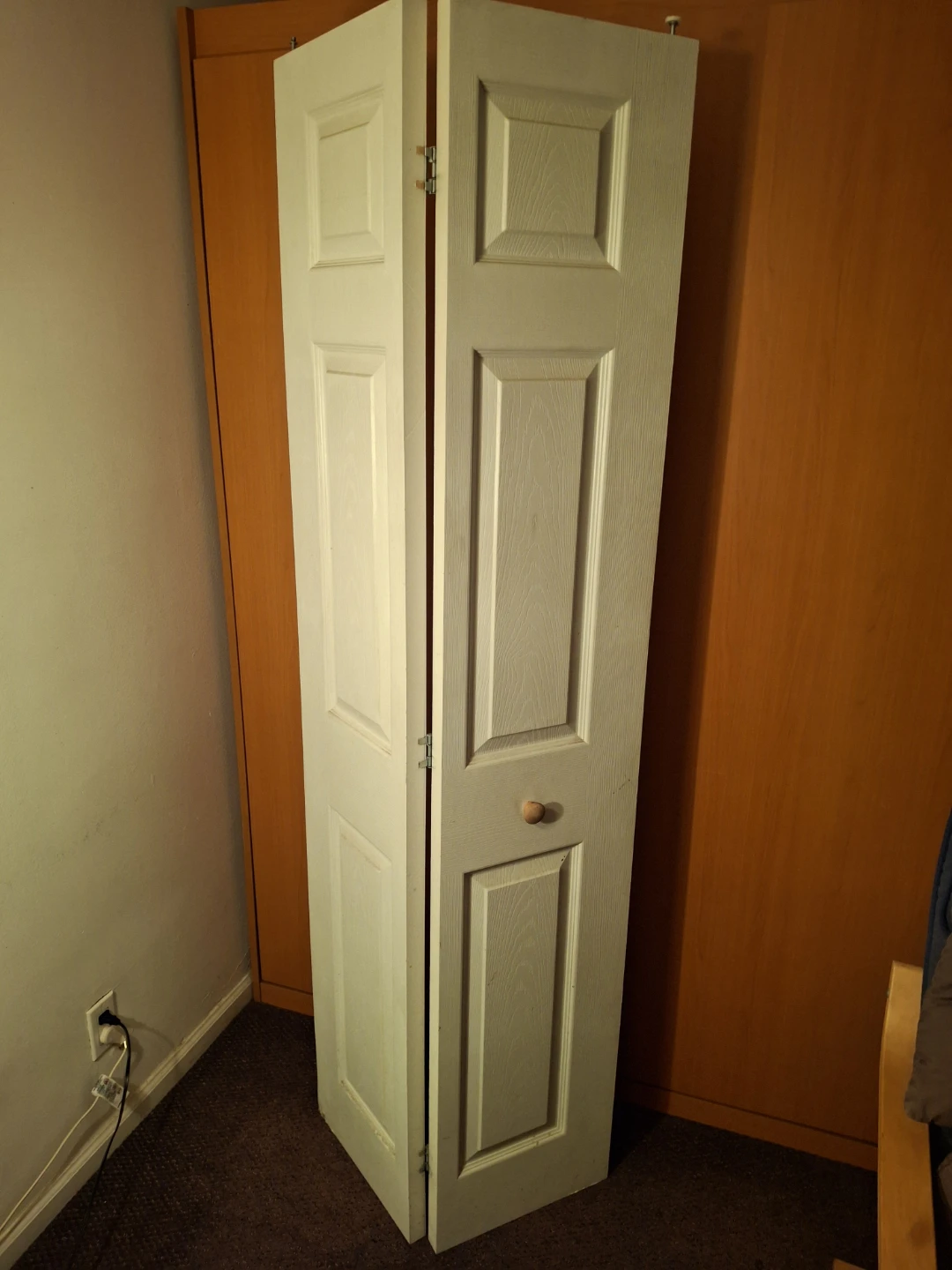 White Bi-Fold Doors - photo 2