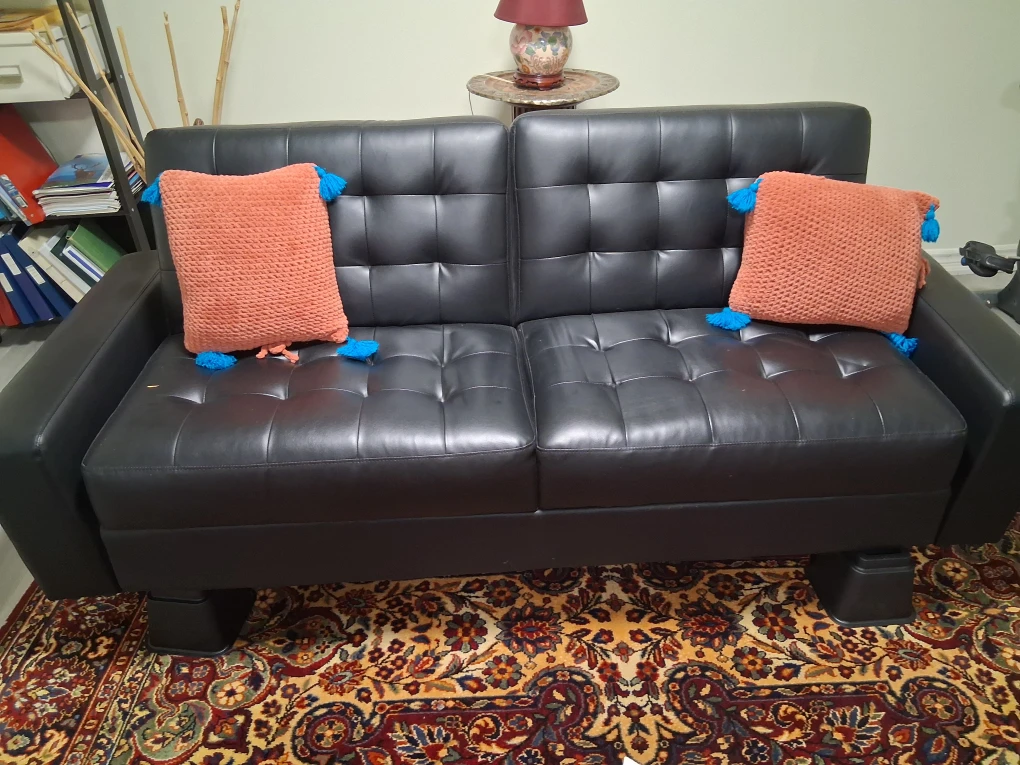 Black leather futon sofa