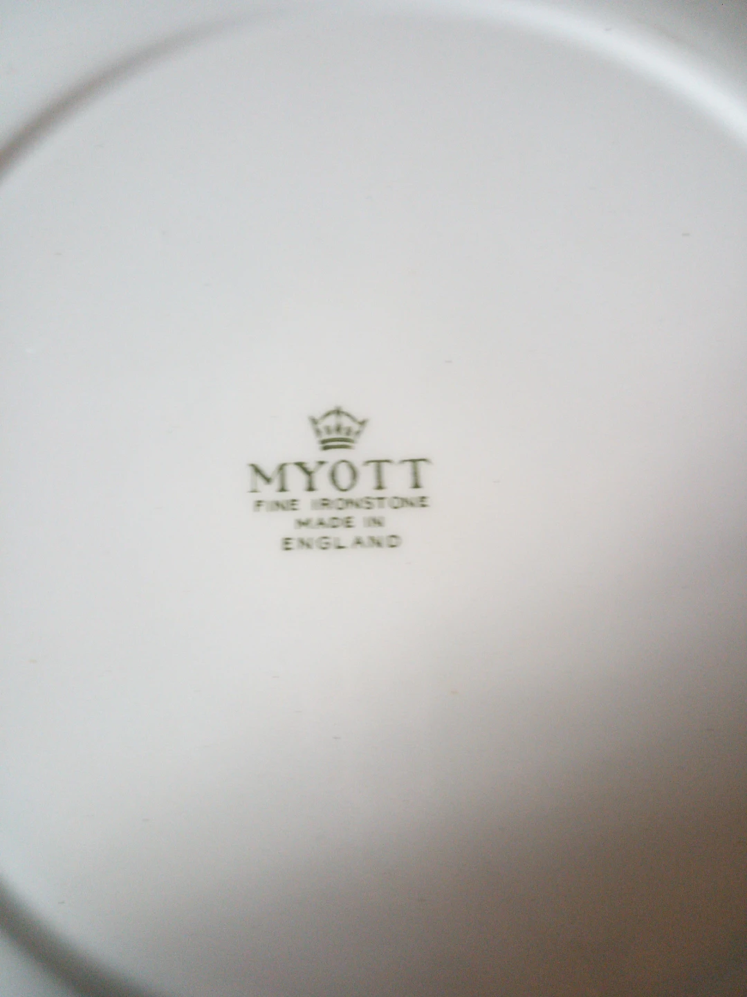 Myott Fine Ironstone Plate with Fruit Design - photo 2