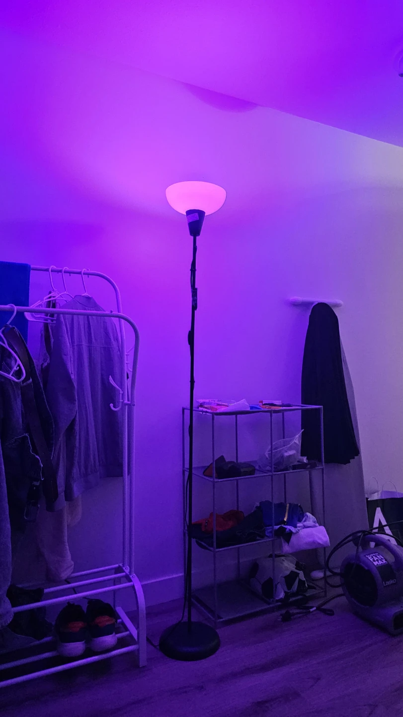 Floor Lamp with Remote - photo 2