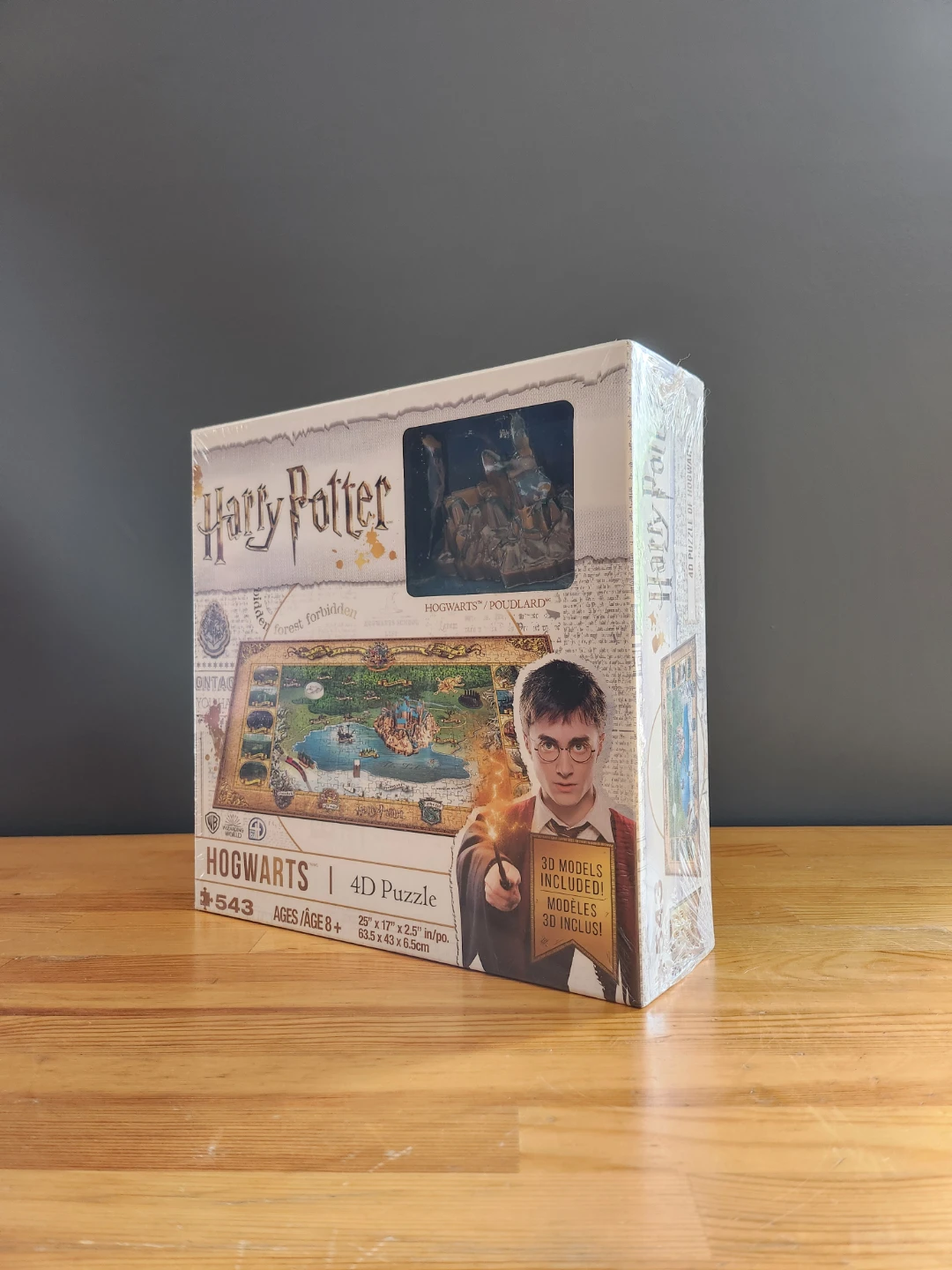 Harry Potter Hogwarts 4D Puzzle
