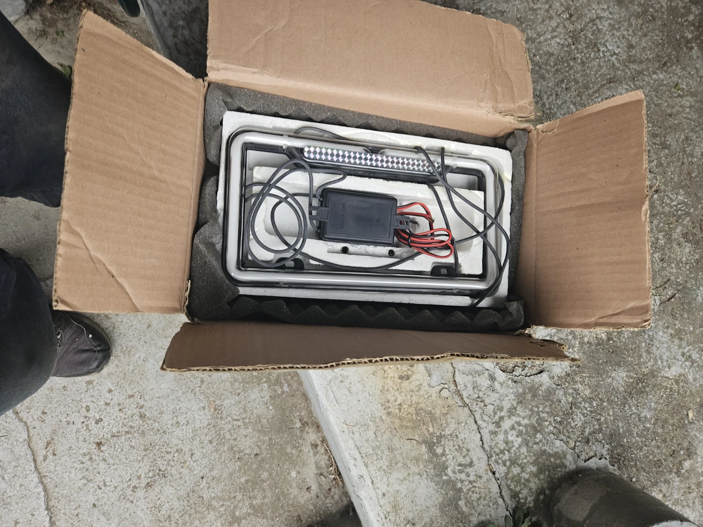 American Auto Tropical Neon License Plate Frame - photo 5