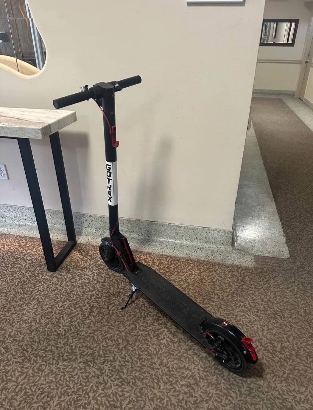 GOTRAX Electric Scooter