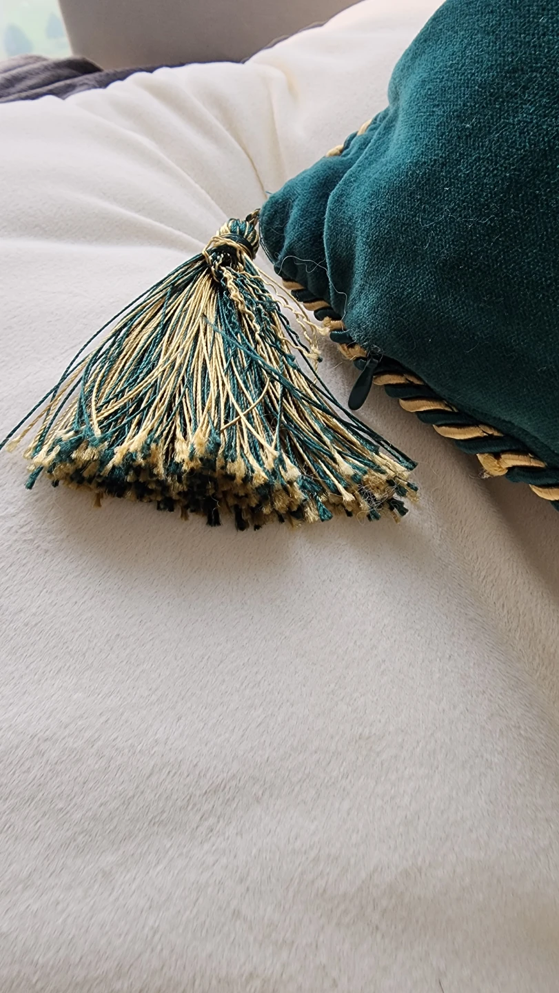 H&M Home Regal Lion Crest Velvet Cushion with Tassels - photo 4