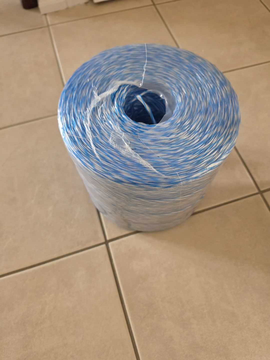 Blue and White Twine Spool - photo 2