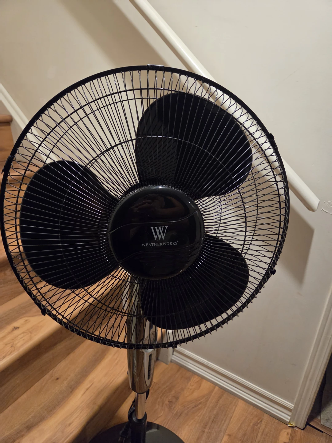 WeatherWorks Pedestal Fan with Remote