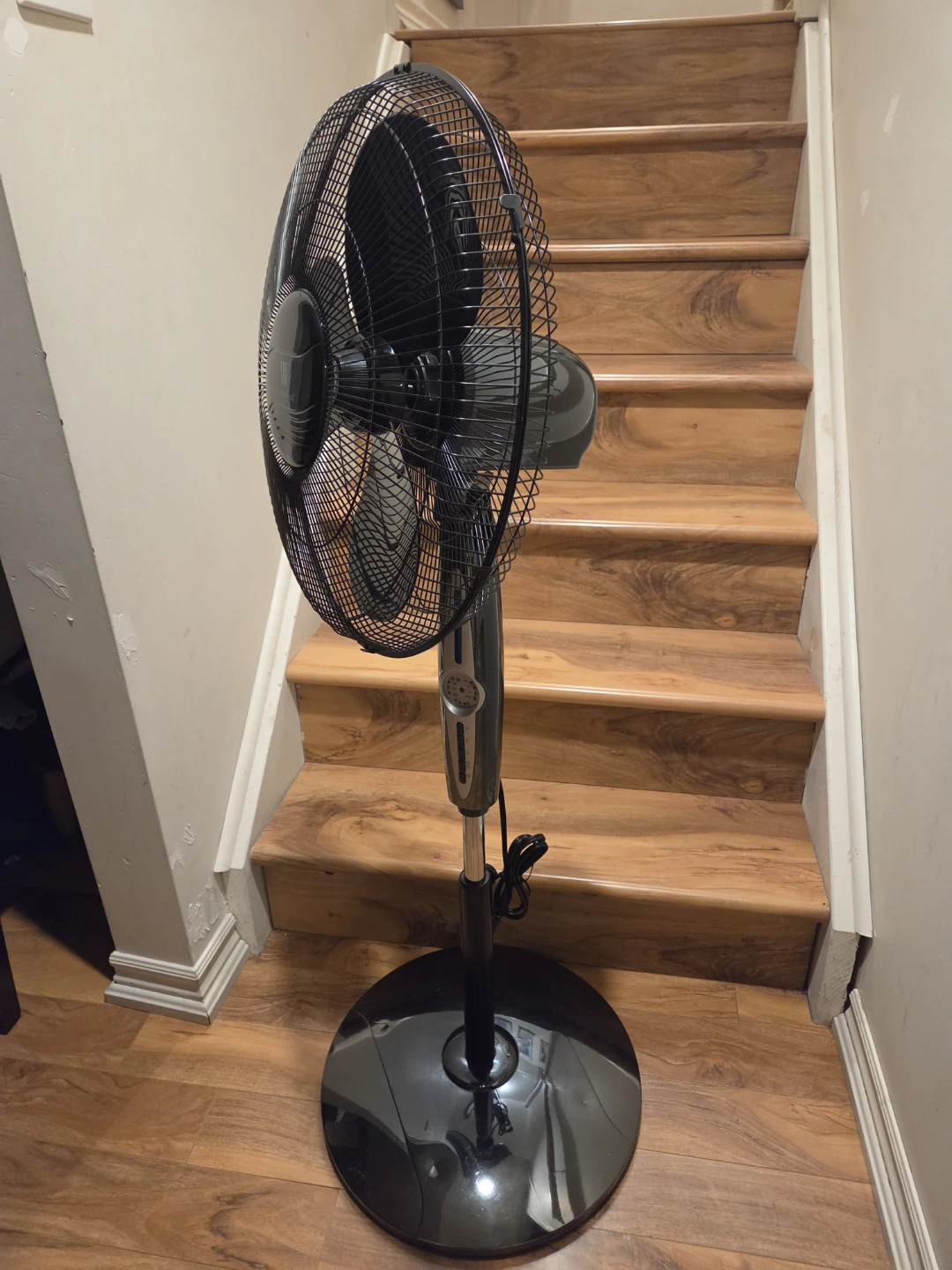 WeatherWorks Pedestal Fan with Remote - photo 3