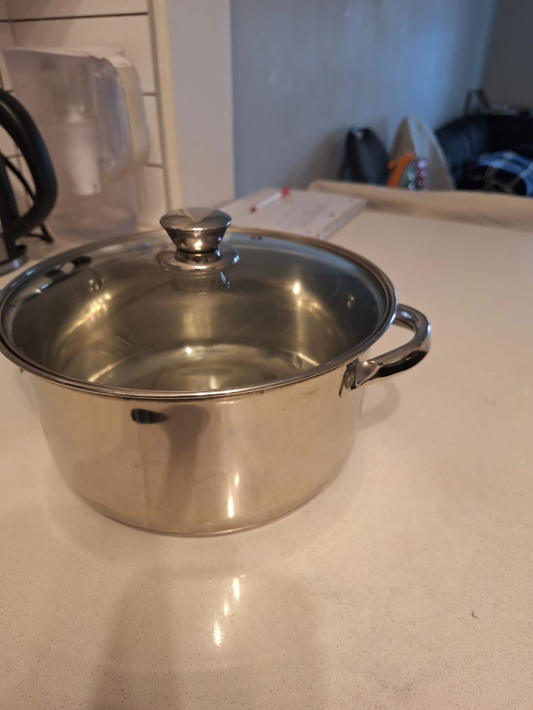 Stainless Steel Stock Pot with Glass Lid