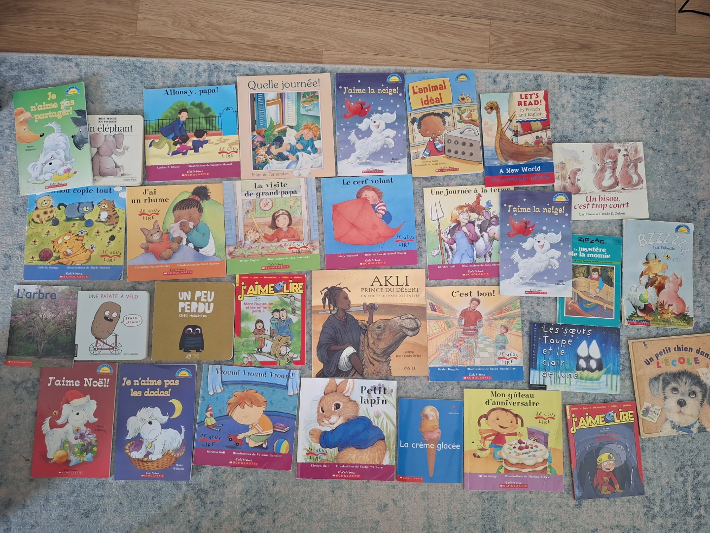 Collection of 60 French-Language Picture Books