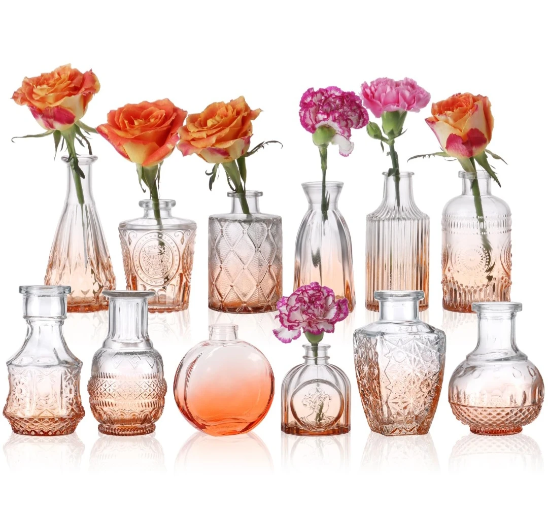 Set of 12 Assorted  Glass Vases