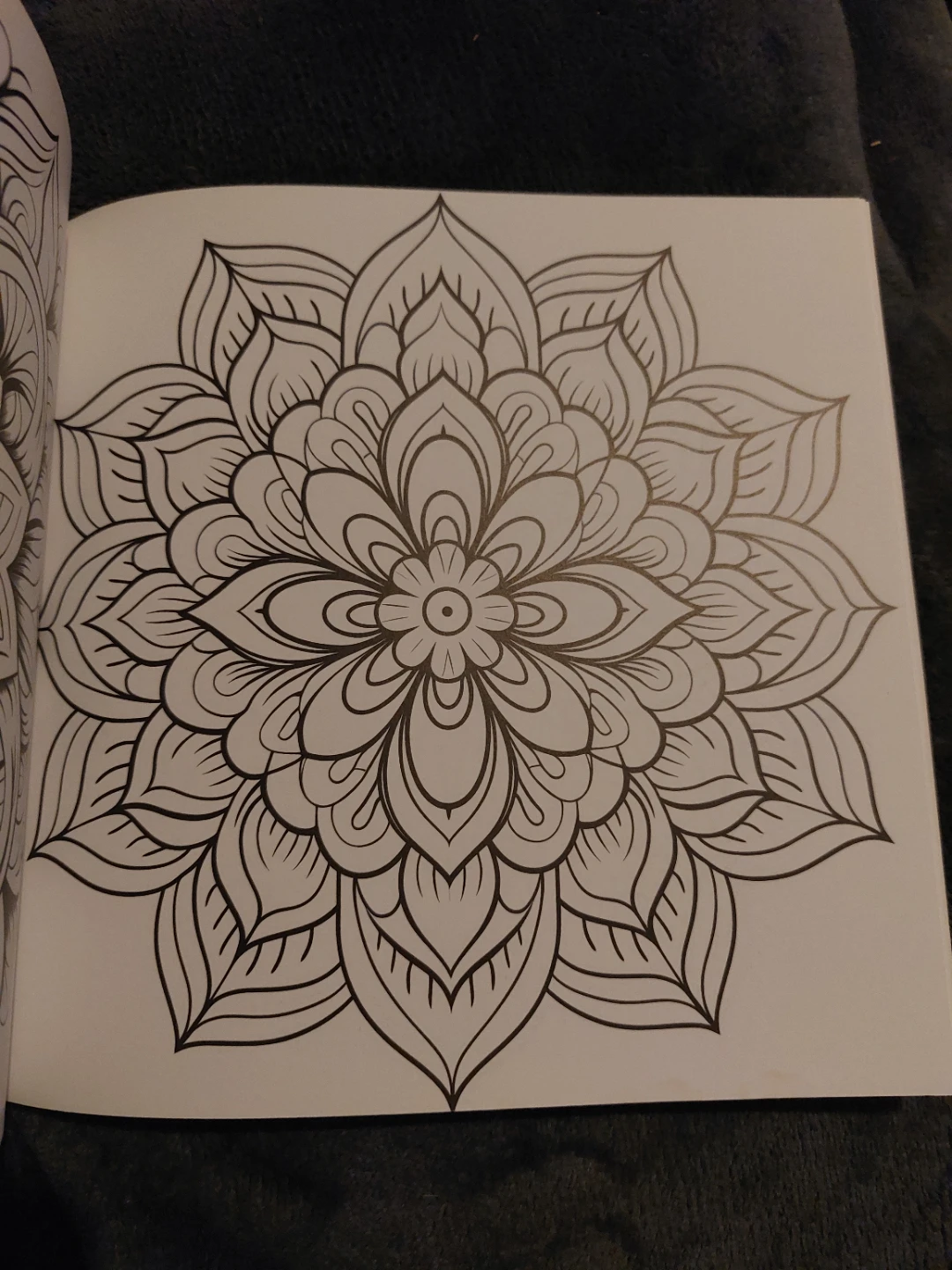 Mindful Mandala Adult Coloring Book - photo 5