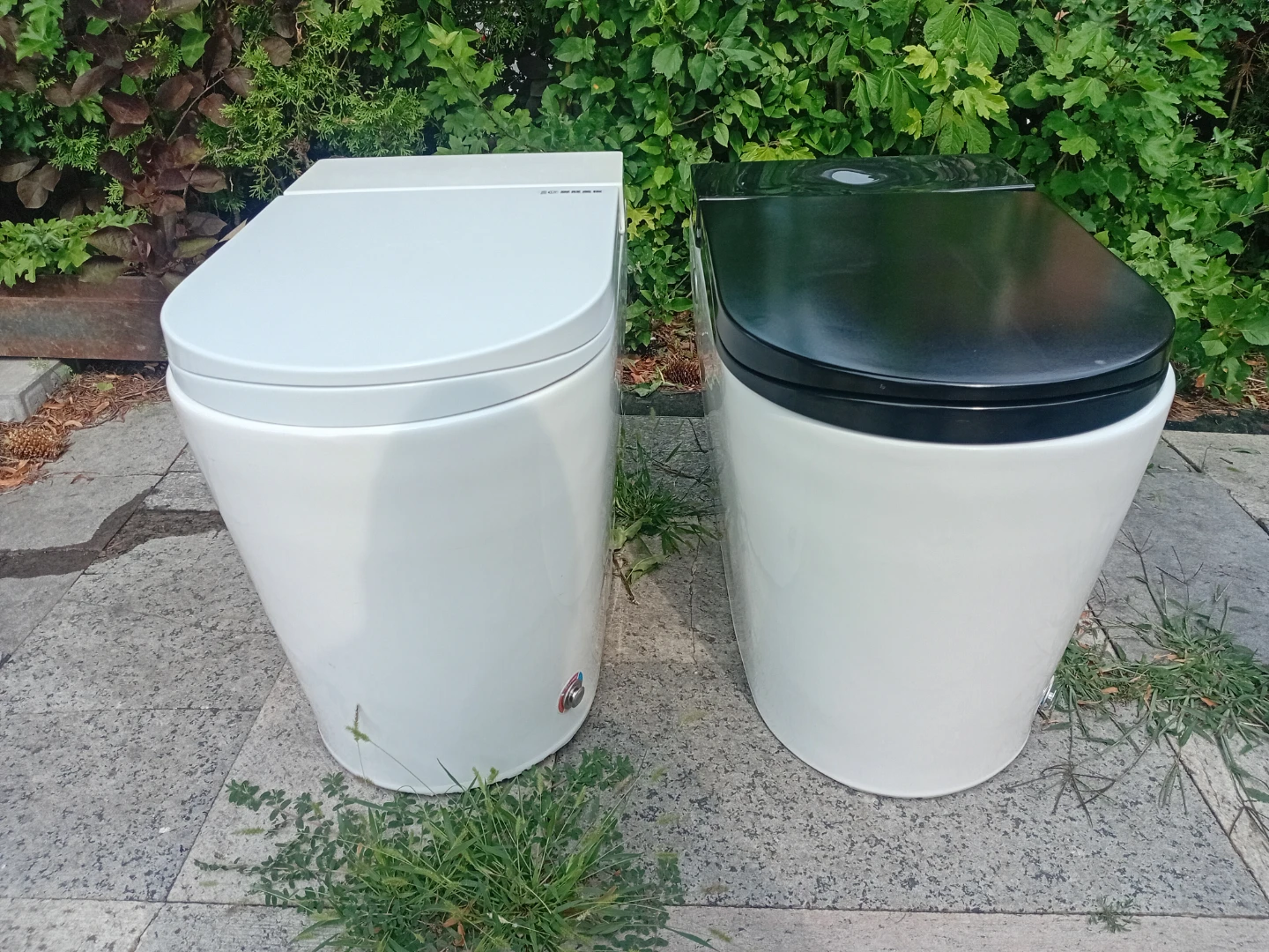 Modern Toilet - White and Black Options - photo 2