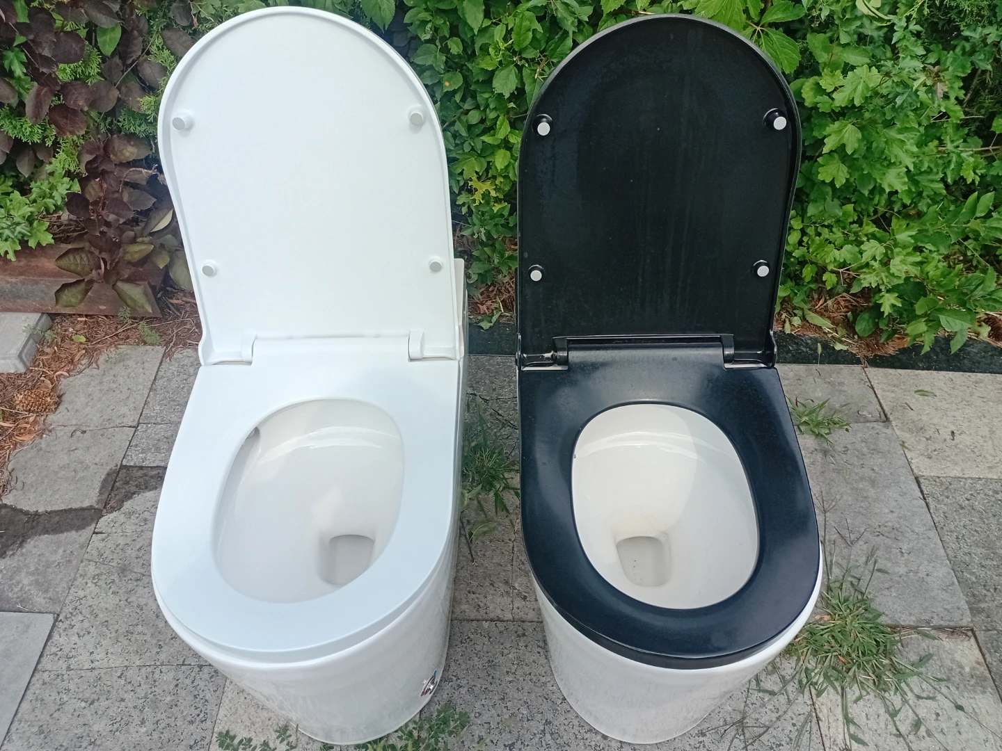 Modern Toilet - White and Black Options - photo 3