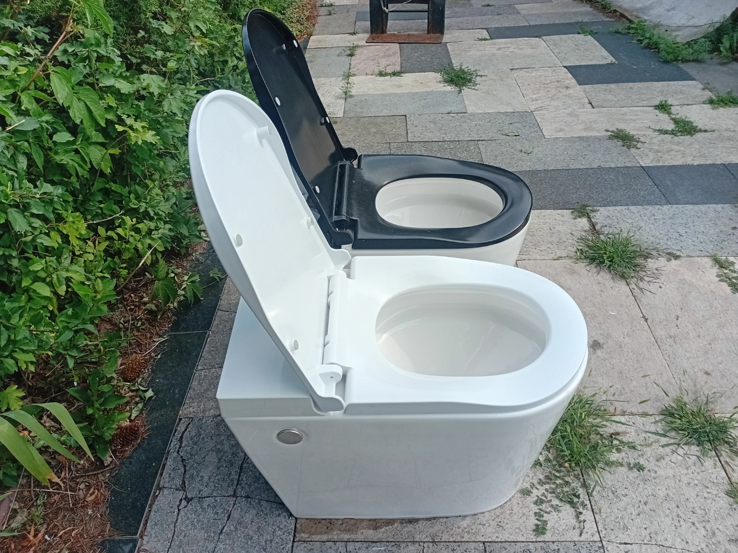 Modern Toilet - White and Black Options - photo 4