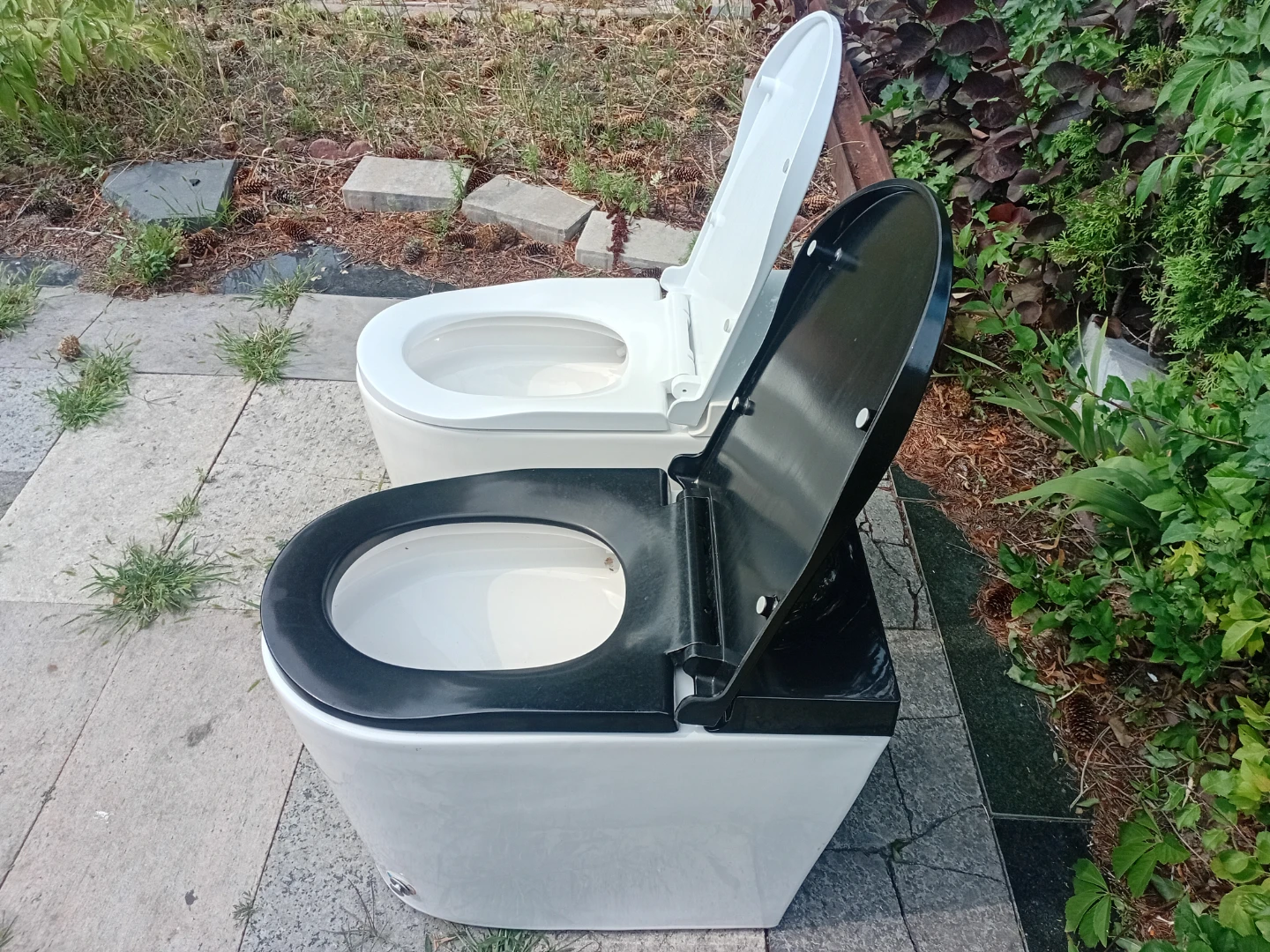 Modern Toilet - White and Black Options - photo 5