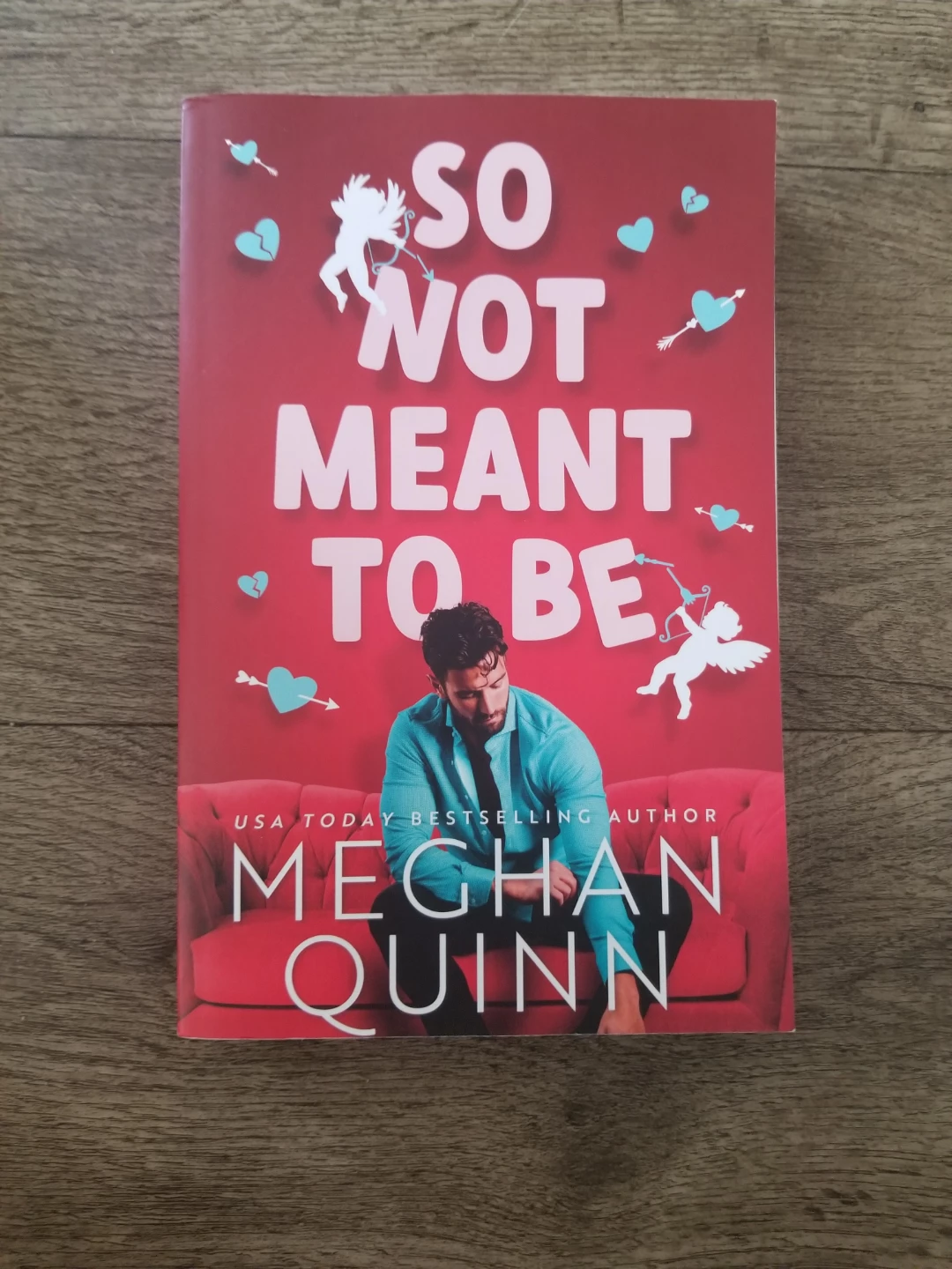 So Not Meant to Be by Meghan Quinn Romance Novel