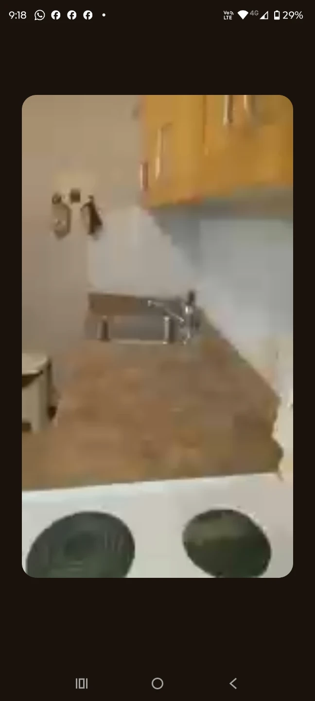 Apartment for rent - photo 5