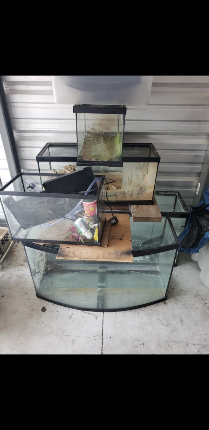 Assorted Glass Aquariums