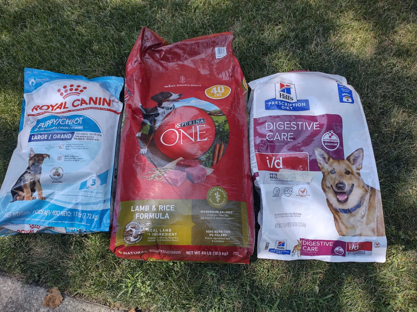 Puppy Dog Food