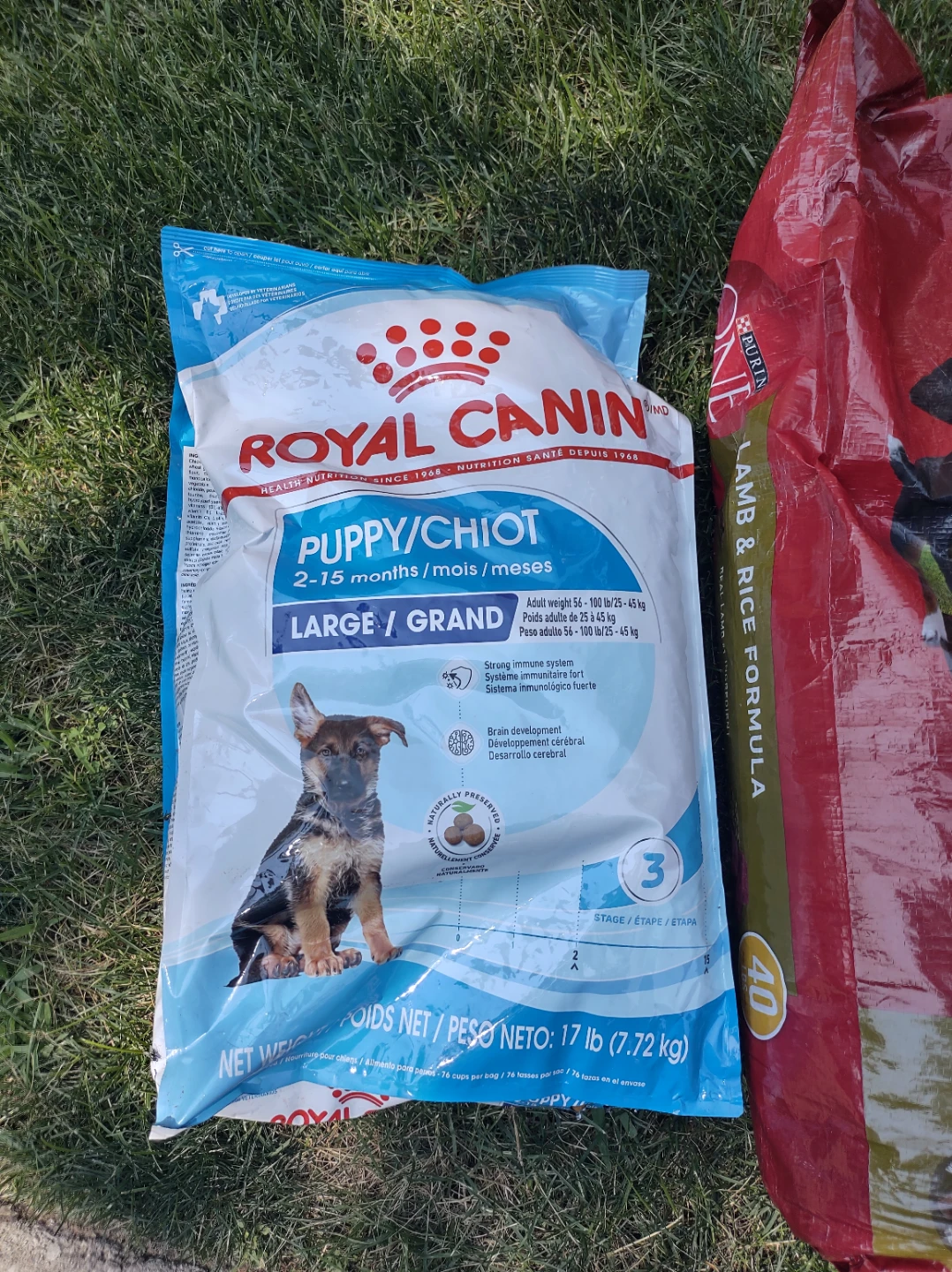 Puppy Dog Food - photo 2