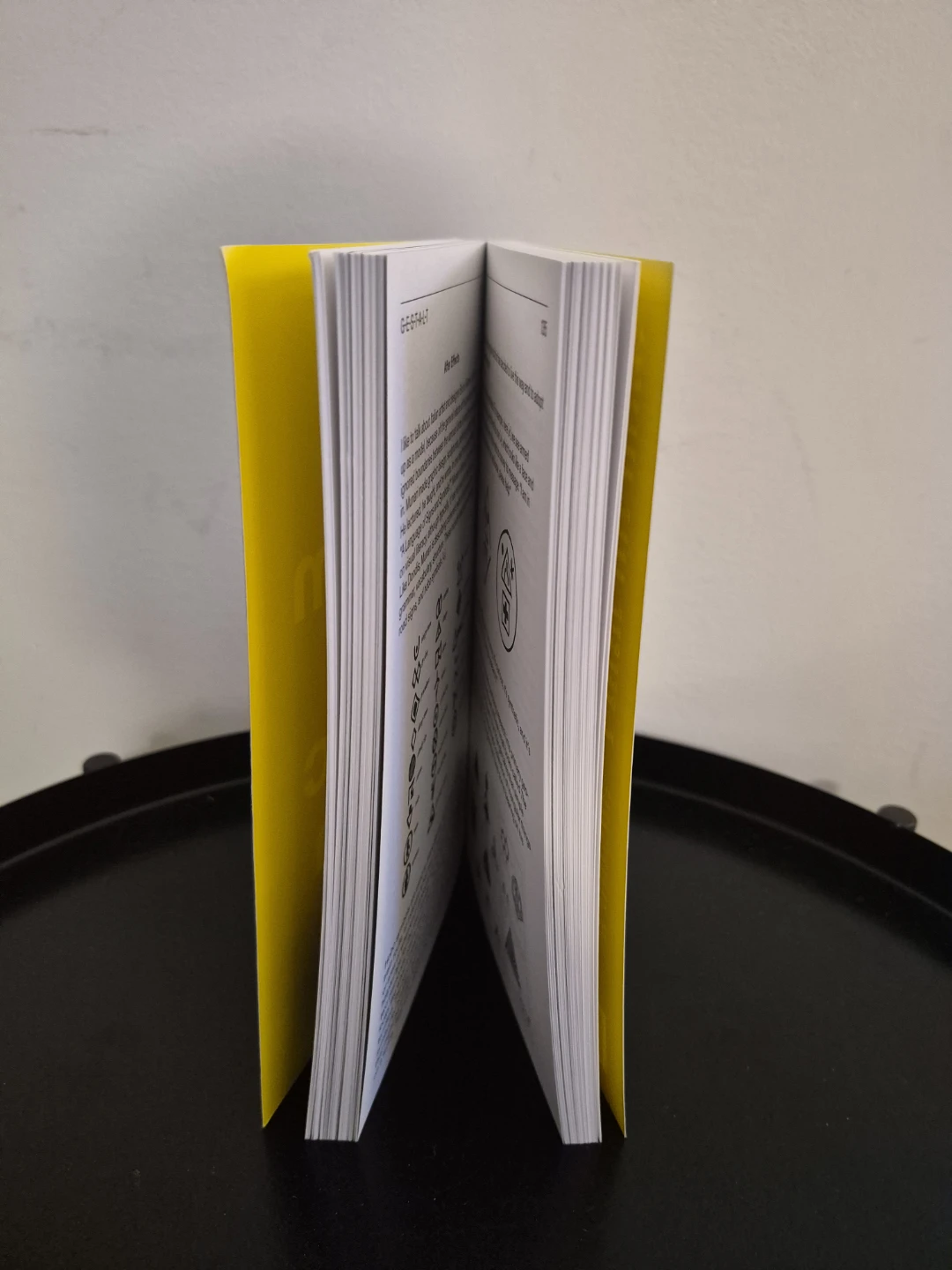 "A *New* Program for Graphic Design" by David Reinfurt Book - photo 4