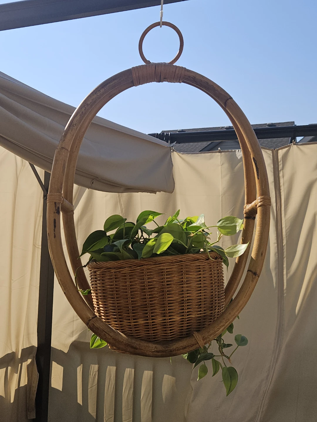 Rattan Hanging Plant Basket - photo 5