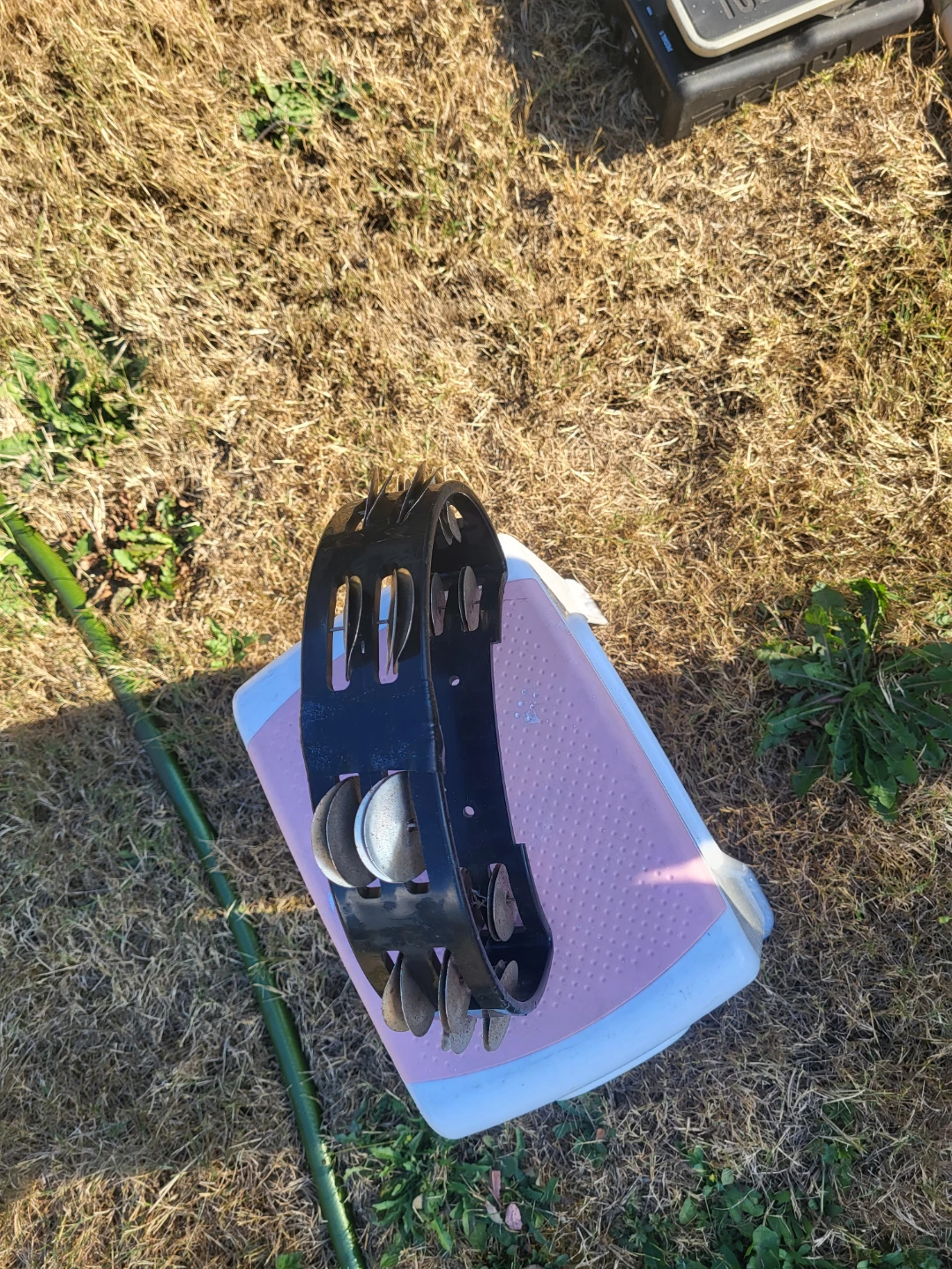 Tambourine - photo 2