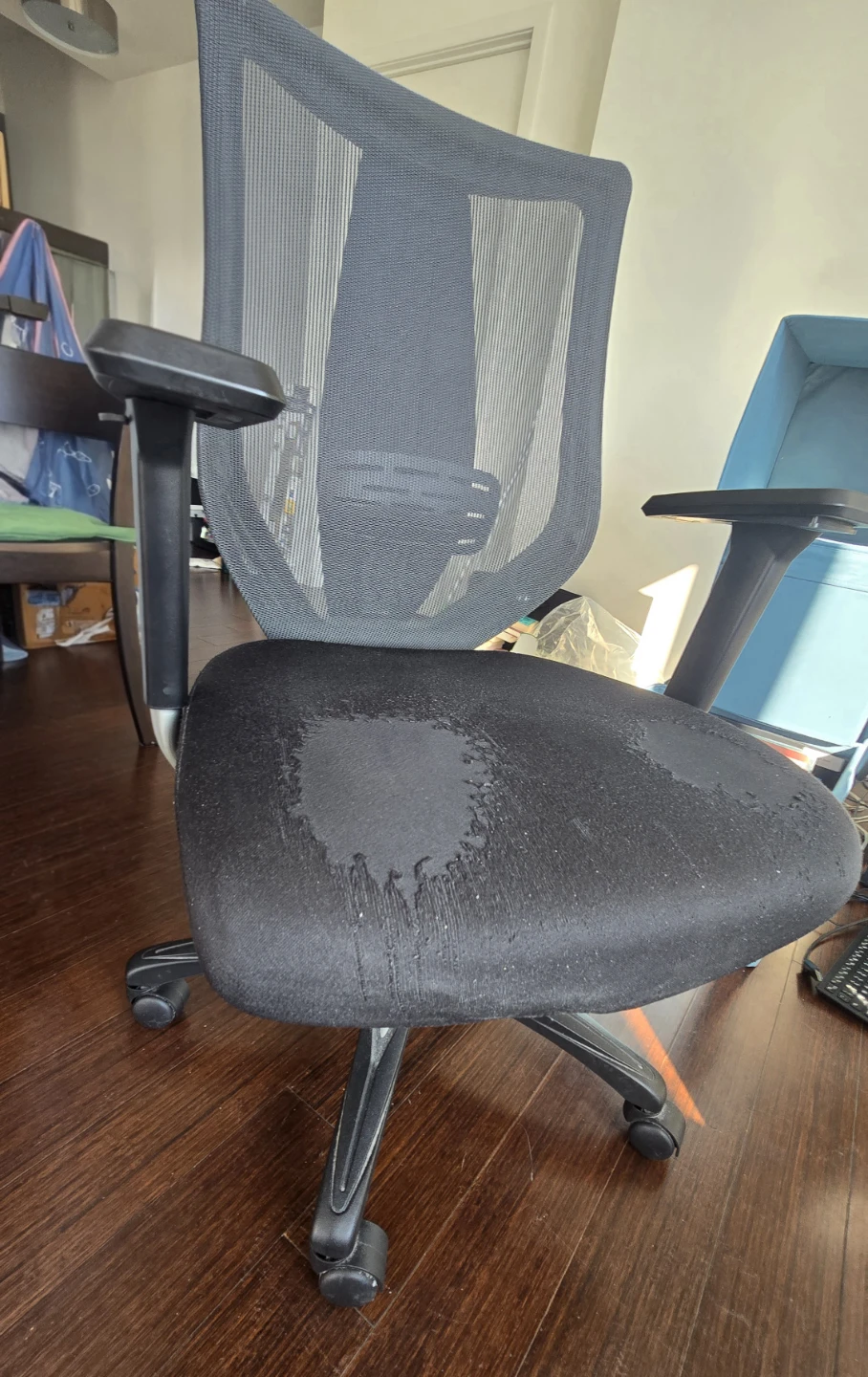 Ergonomic Office Chair