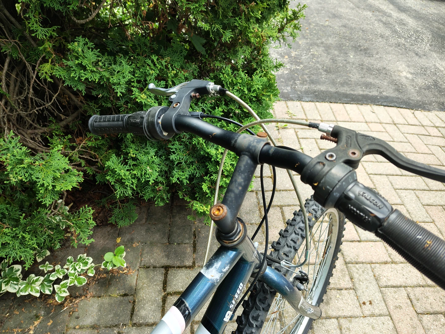 Carrera Solar Mountain Bike - photo 3