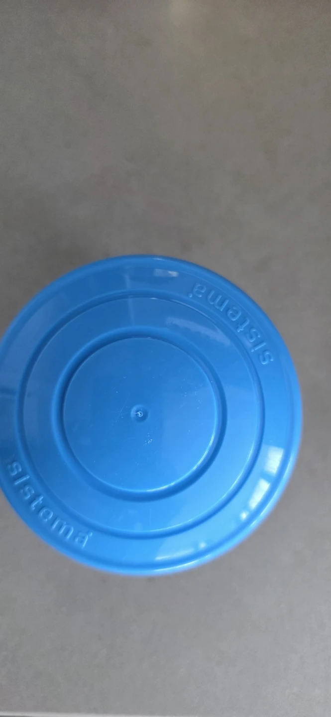 Small Food Container with Blue Lid