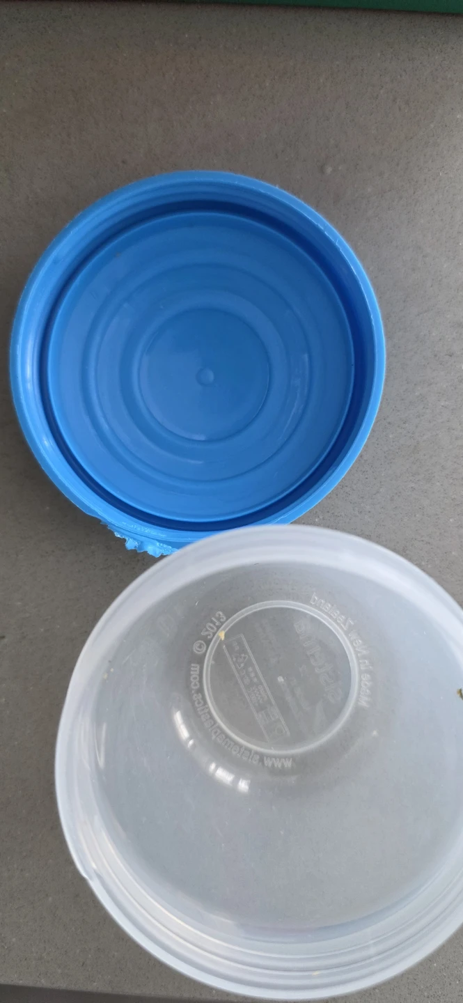 Small Food Container with Blue Lid - photo 3