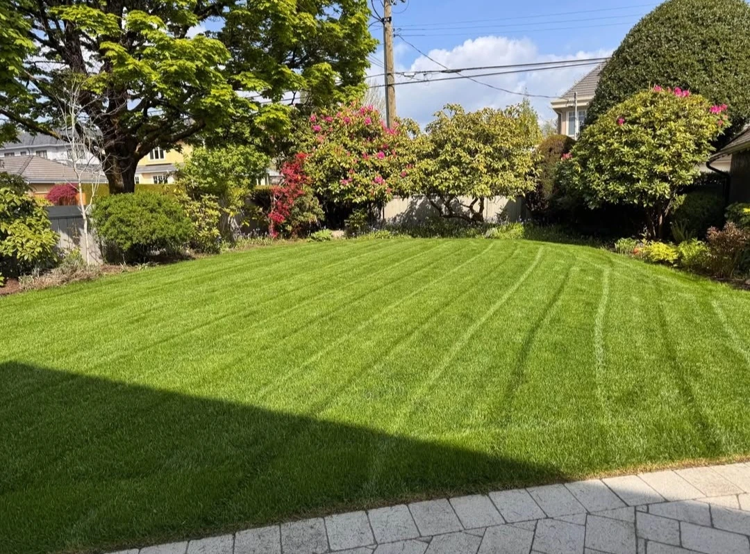 Grass cutting service - photo 2