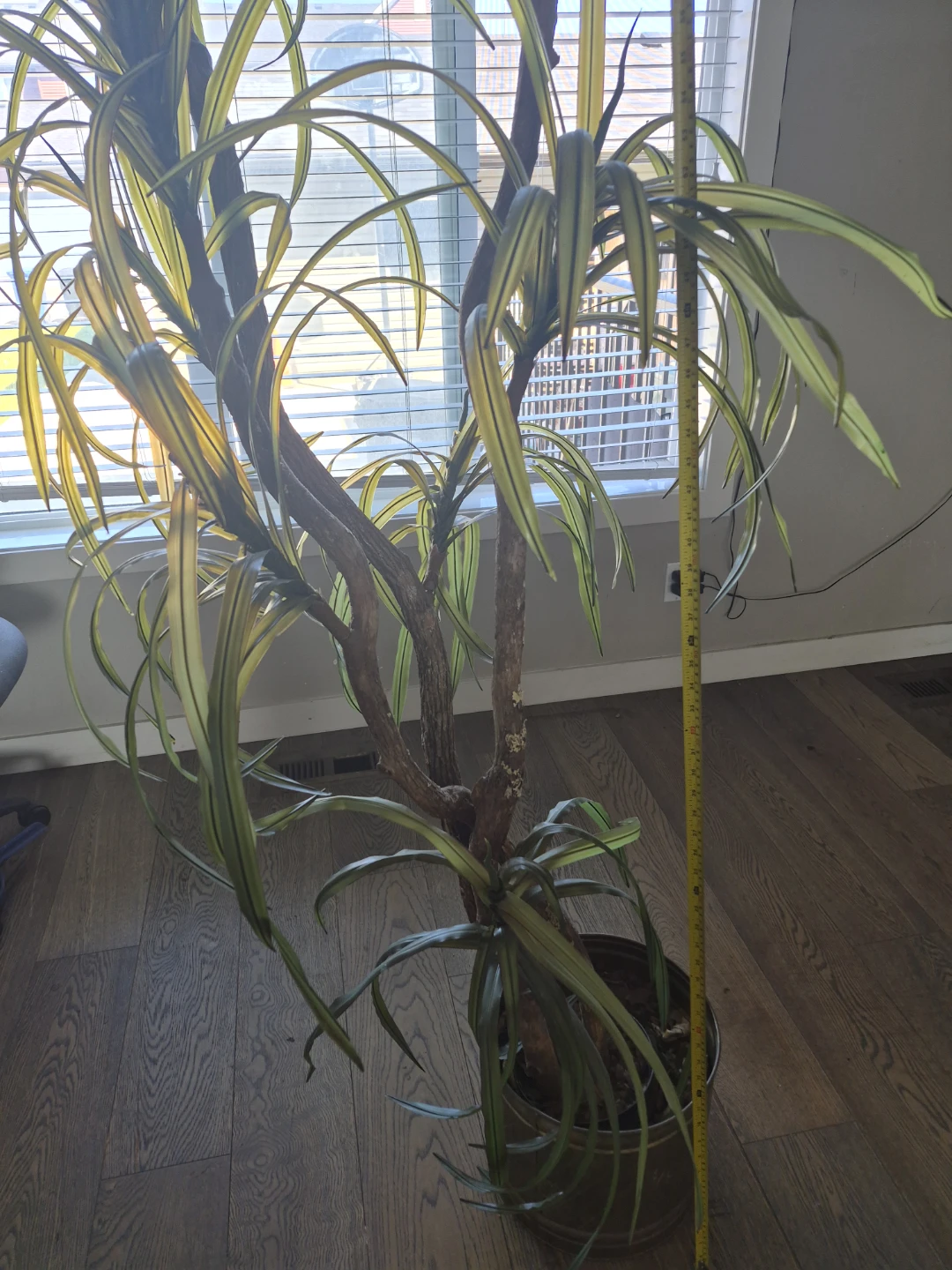 Tall Artificial Plant - photo 2