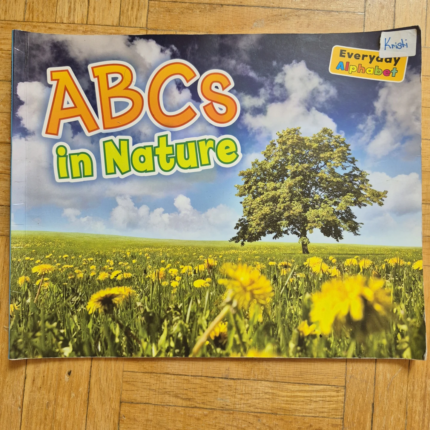 Reserved for Y: Set of 3 Alphabet Books + Manipulatives - photo 3