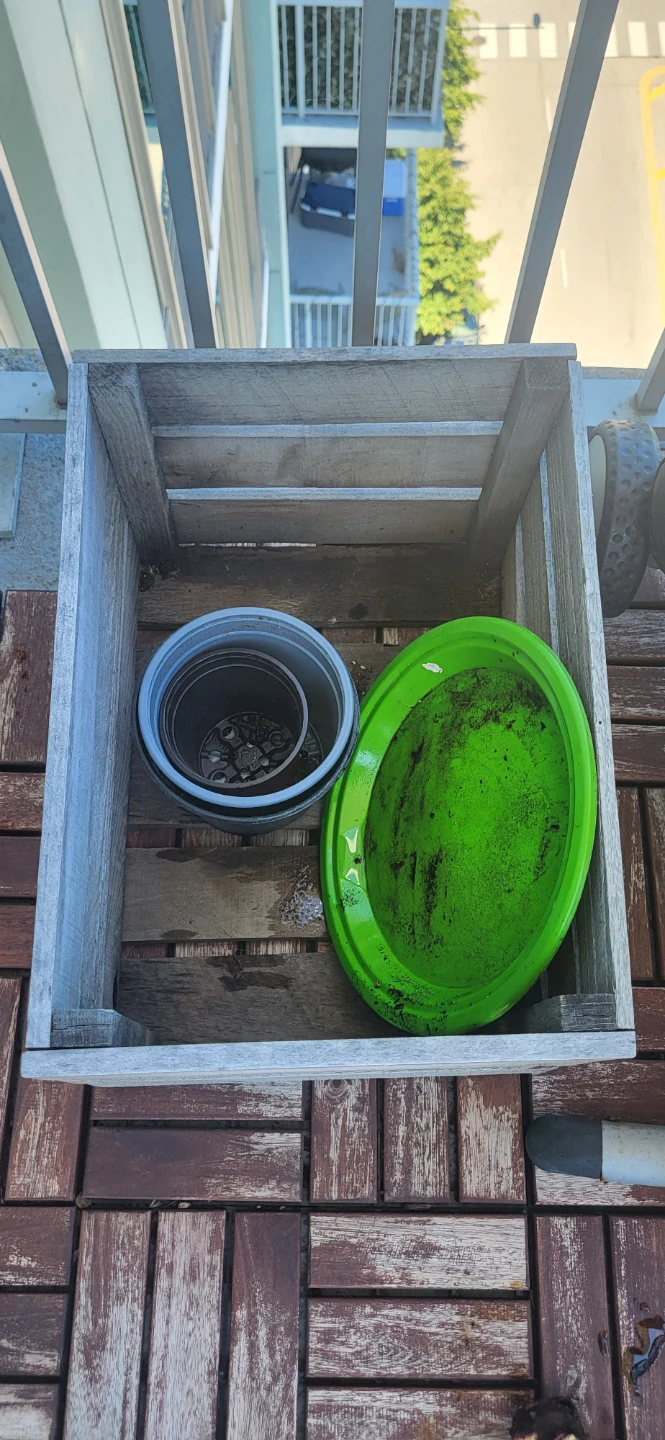 Wooden Crate with Planters and Vases - photo 2