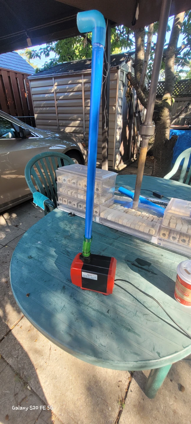 Submersible Water Pump with Blue Tubing