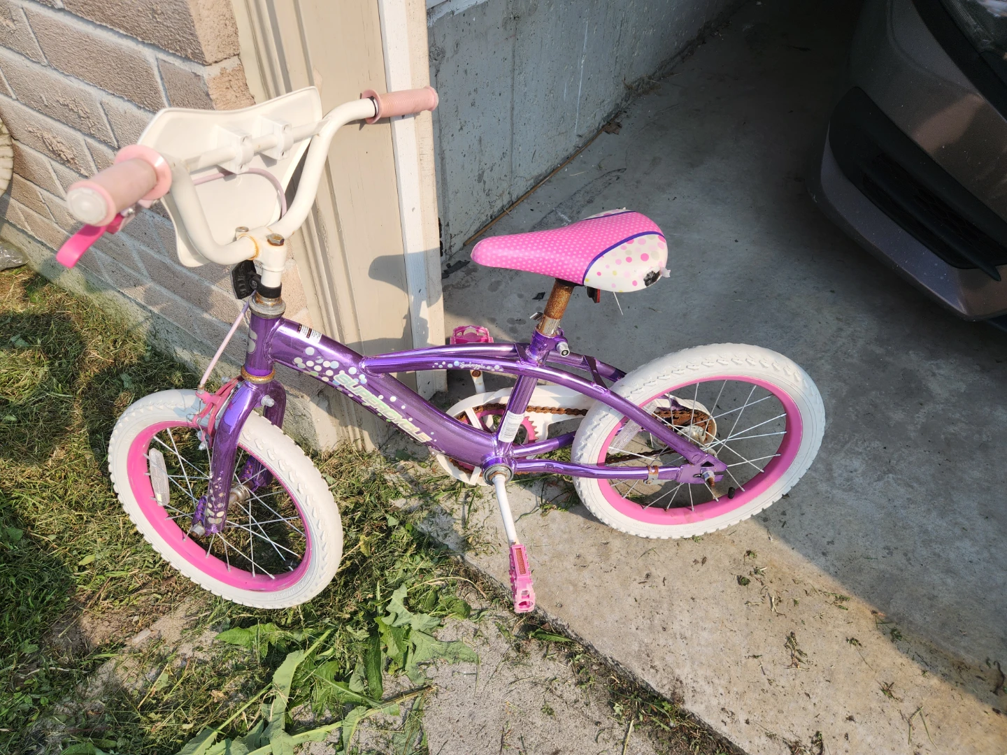 Purple Kids Bike