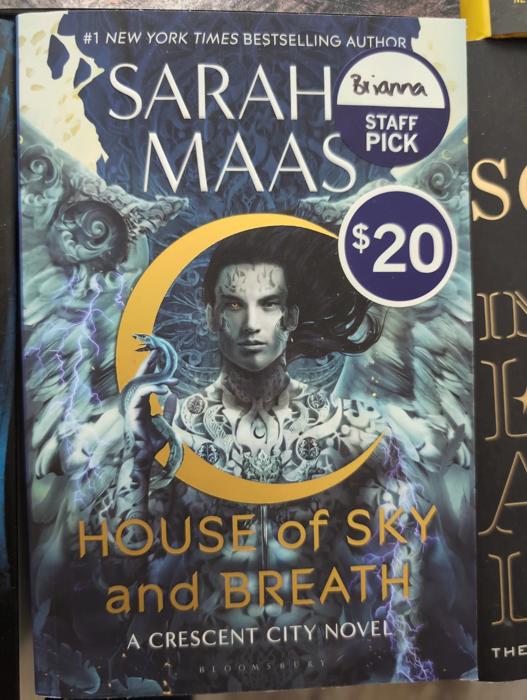 Assorted Fantasy and Mystery Novels - photo 4