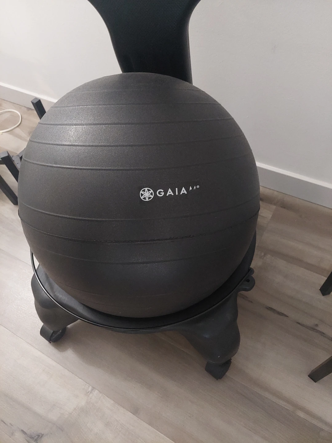 Moving Sale GAIA Yoga Ball Chair