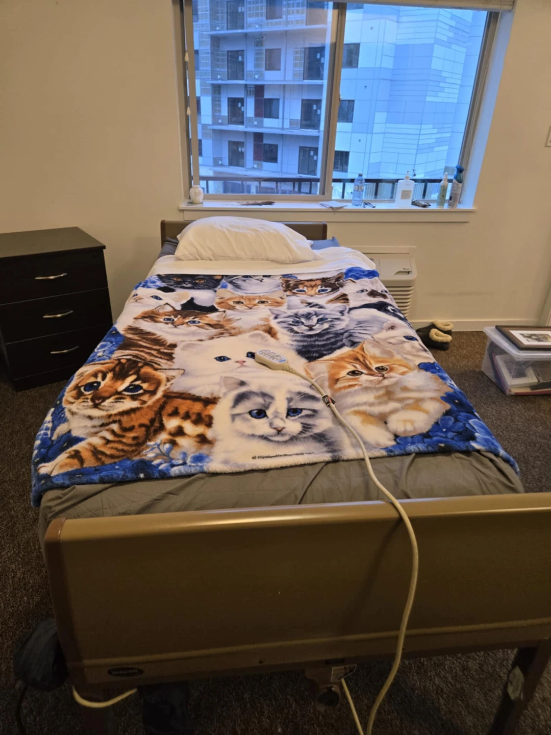Adjustable Hospital Bed - photo 5