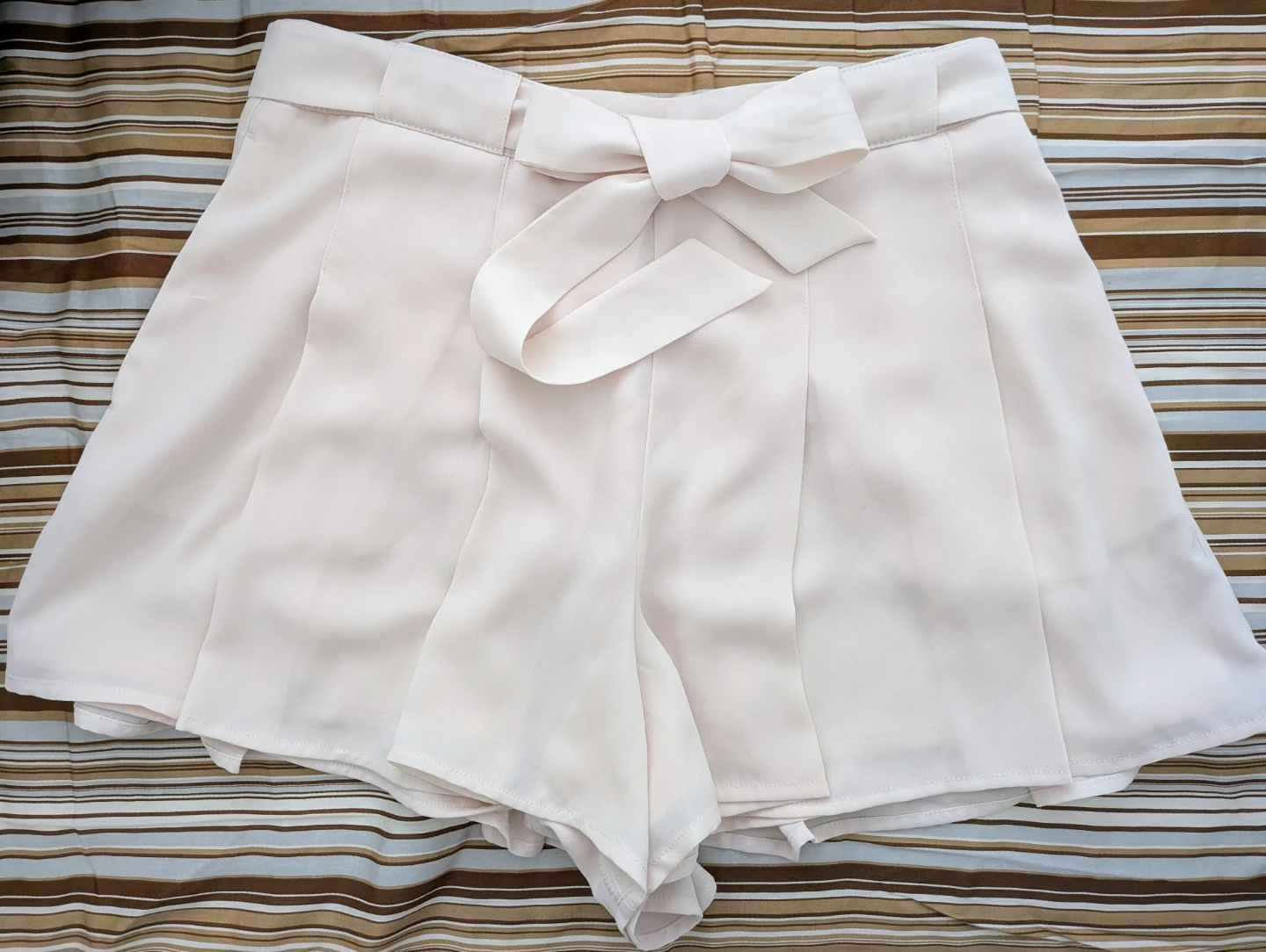 Aritzia Sunday Best Shorts