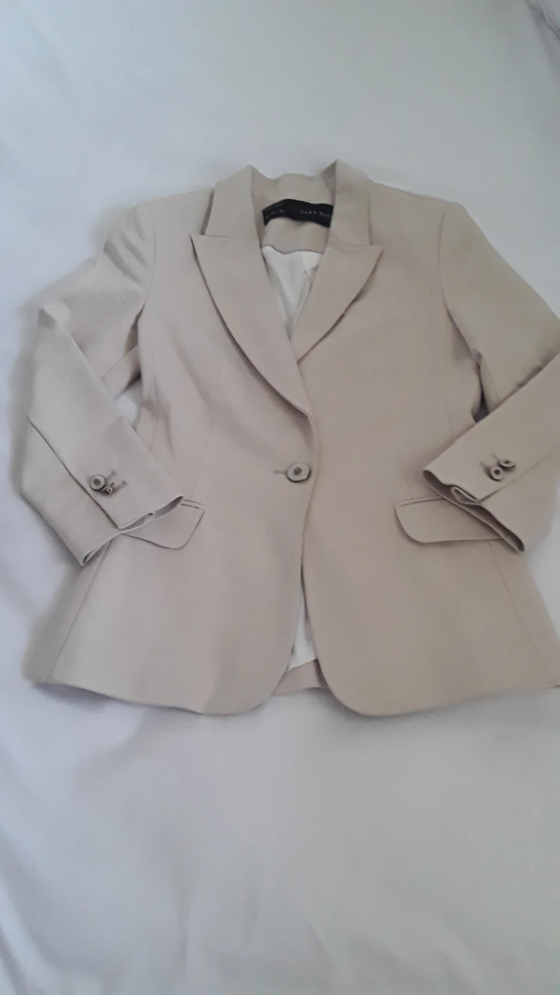 Zara Blazer Beige Blazer