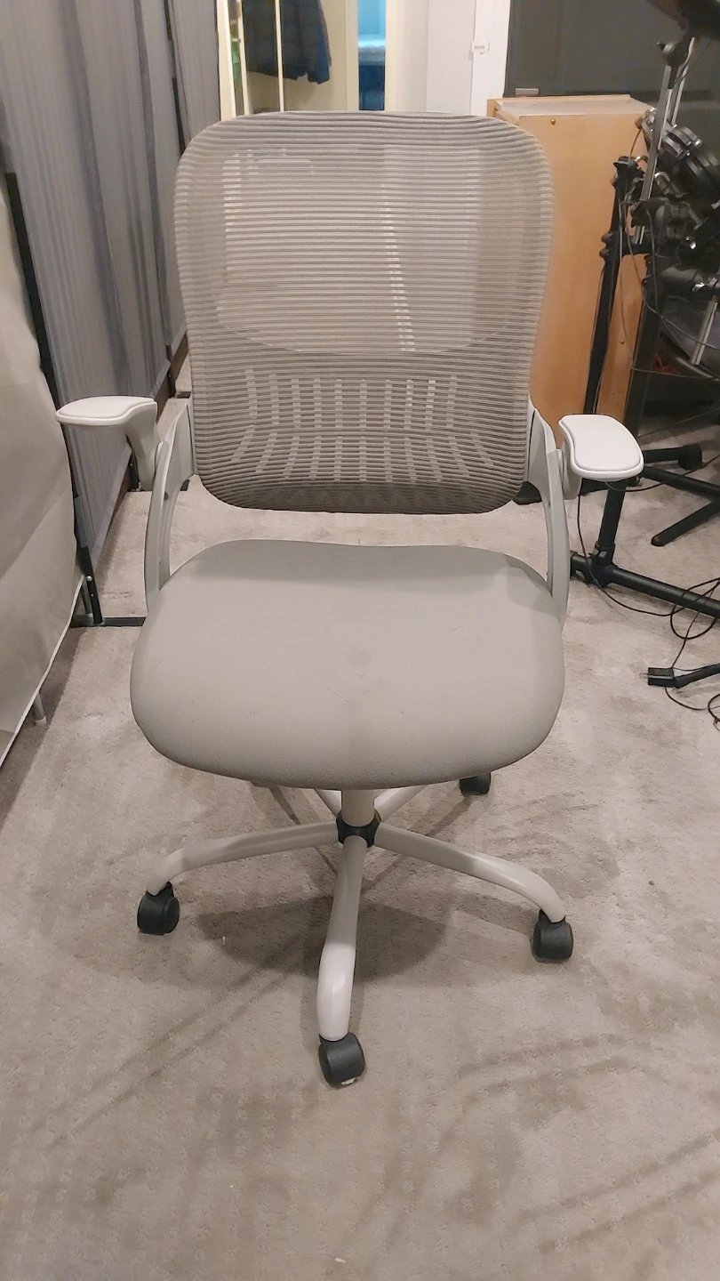 Gray Ergonomic Office Chair