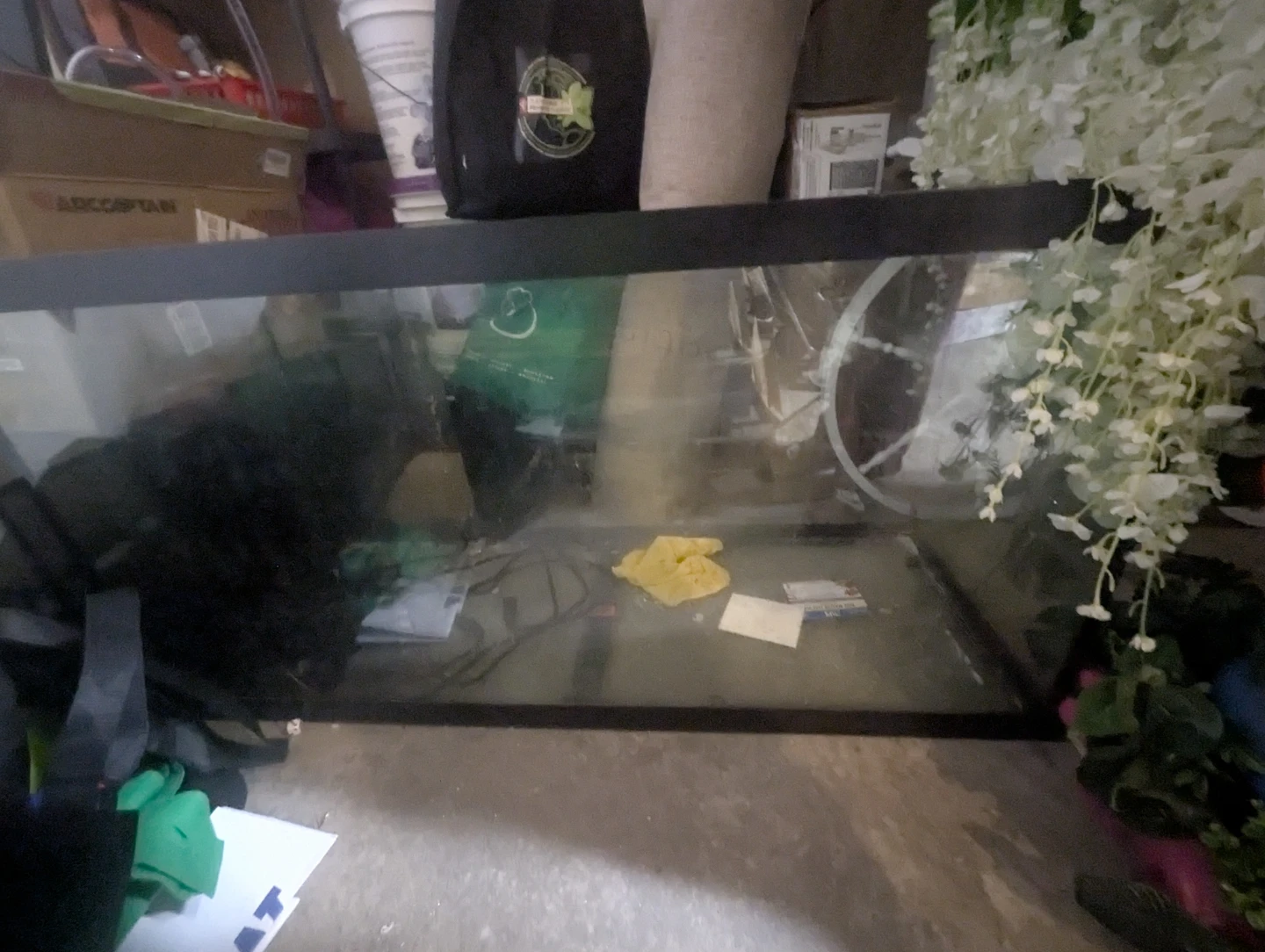 Large Aquarium Tank