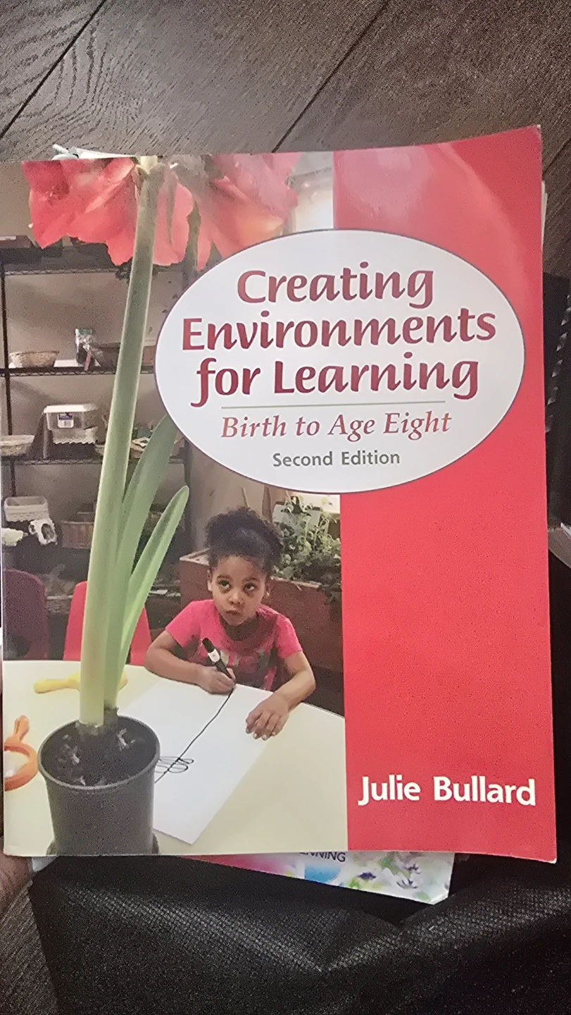 Creating Environments for Learning Book